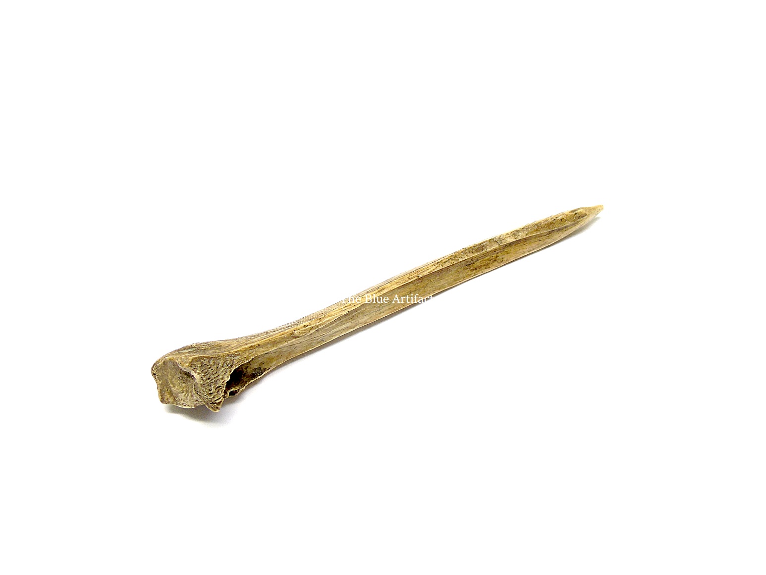 A Deer Bone Awl | Out Of The Blue Artifacts